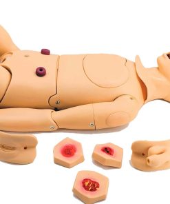 Nursing Manikins, Full Body