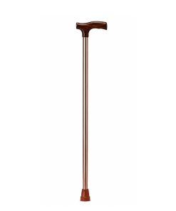 Walking Stick Non-Foldable FS910L
