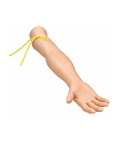 IV Arm Manikin